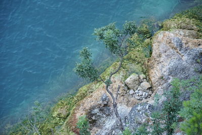 High angle view of rocks by sea