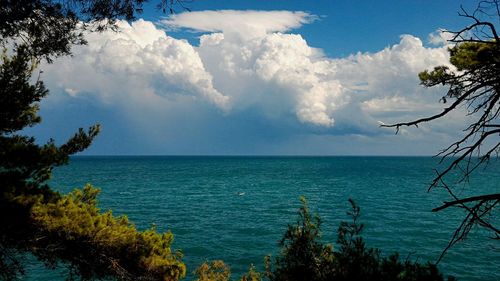 Scenic view of sea against sky