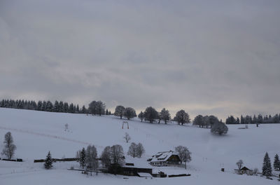 Scenic view of snow covered trees against sky