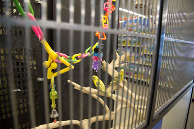 Close-up of multi colored railing