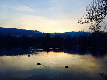 Birds swimming in lake against sky during sunset