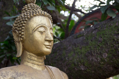 Close-up of buddha statue against trees