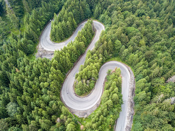 High angle view of road amidst trees