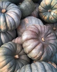 Full frame shot of pumpkins