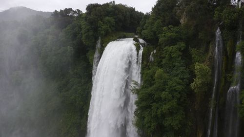 Scenic view of waterfall in forest
