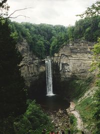 Scenic view of waterfall in forest