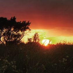 Silhouette trees against sky during sunset