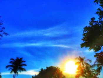 Low angle view of silhouette trees against blue sky