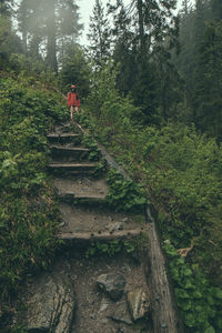 Man walking on steps in forest