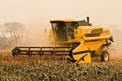 Scenic view of agricultural field