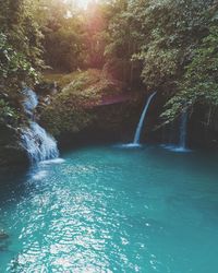 Scenic view of waterfall in forest