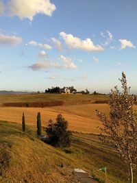 Scenic view of field against sky