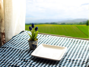 Close-up of food on table