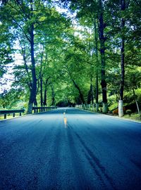 Road passing through trees