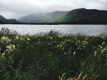 Scenic view of lake against mountains