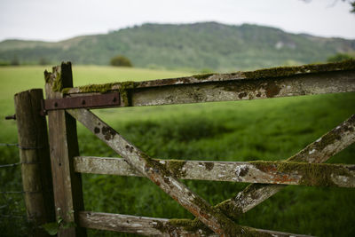 Fence on field