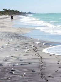 Man standing on beach against sky