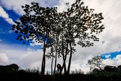 Low angle view of trees against cloudy sky