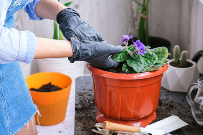 Midsection of woman holding potted plant