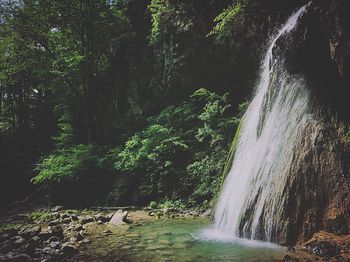 Scenic view of waterfall in forest