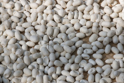 Full frame shot of white beans on table