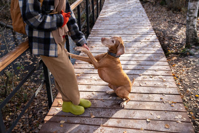 Man with dog