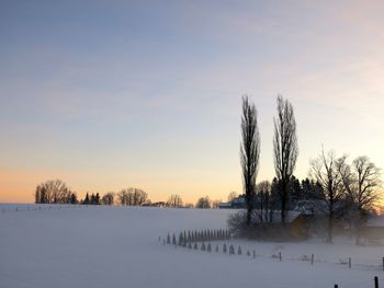 Bare trees on snow covered landscape