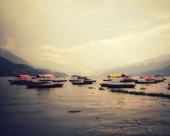The serenity of pokhara lake