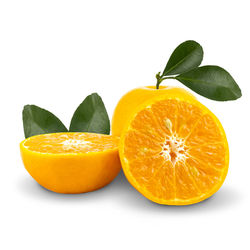 Close-up of orange fruit on white background
