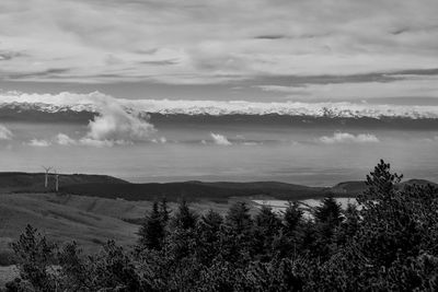 Scenic view of landscape against sky