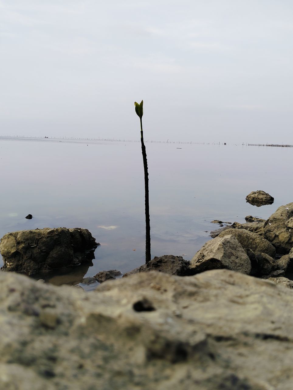 water, sea, rock, shore, coast, nature, sky, beauty in nature, ocean, tranquility, beach, no people, scenics - nature, land, tranquil scene, day, body of water, outdoors, reflection, sand, horizon over water, horizon, non-urban scene