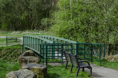 Empty benches on field by trees in forest