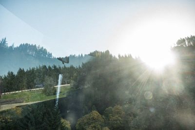 Panoramic shot of trees against clear sky