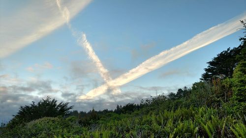 Low angle view of vapor trail in sky