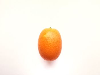 Close-up of orange on white background