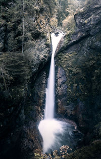 Scenic view of waterfall in forest