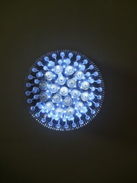 Close-up of illuminated light bulb