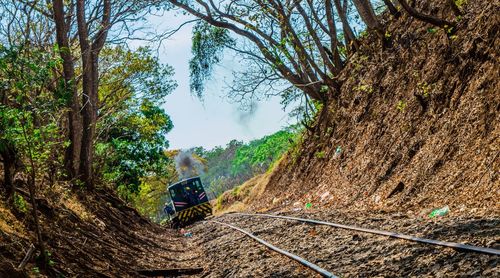 Train amidst trees against sky