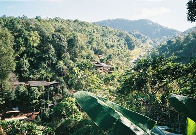 Scenic view of trees and mountains against sky