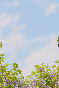 sky