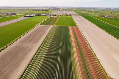 Panoramic shot of agricultural field