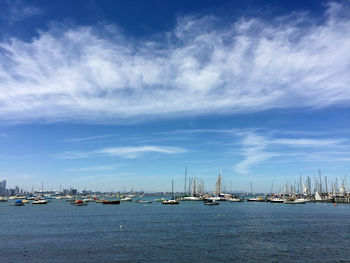 Sailboats moored in harbor against sky
