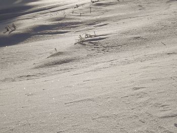 High angle view of tire tracks on sand