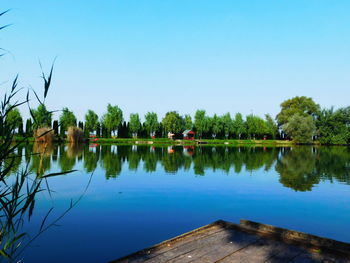 Reflection of trees in calm lake