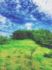 Scenic view of tree against sky