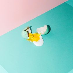 High angle view of leaf on blue table