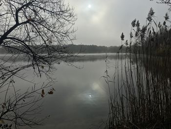 Reflection of tree in lake against sky