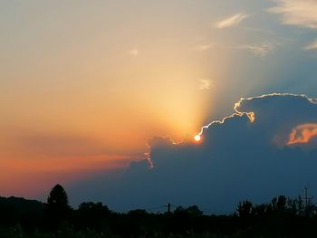 Low angle view of silhouette trees against sky during sunset