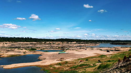 Scenic view of beach against blue sky