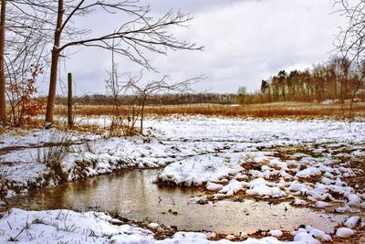 Frozen lake against bare trees in winter